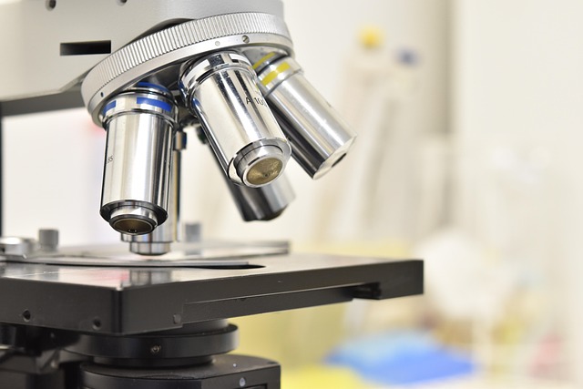 氨基聚醚作为聚氨酯催化剂和扩链剂在聚氨酯泡沫中的应用