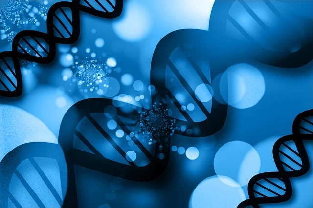 聚氨酯表面活性剂在聚氨酯泡沫发泡均匀性和闭孔率控制中的关键作用